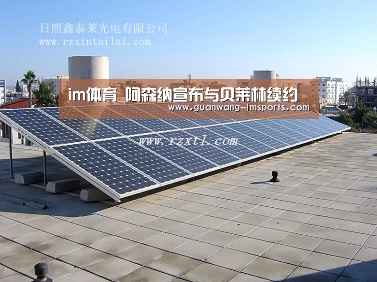 im娱乐