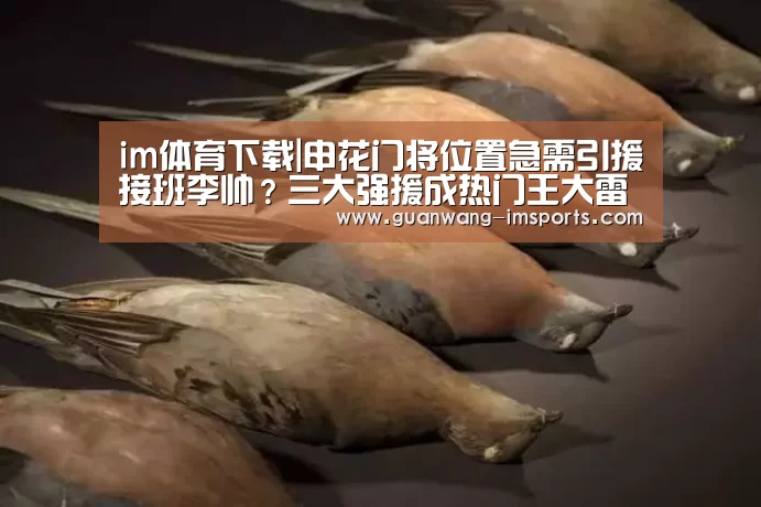 im体育下载|申花门将位置急需引援接班李帅?三大强援成热门王大雷呼声最高(图2) im体育