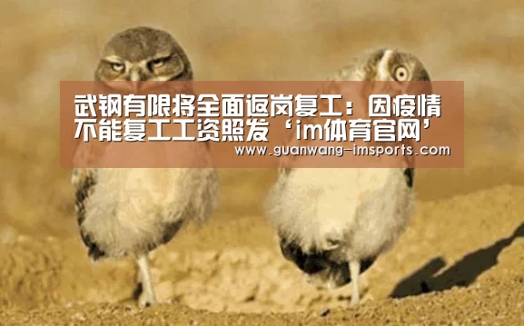 武钢有限将全面返岗复工:因疫情不能复工工资照发‘im体育官网’(图3) im体育官网