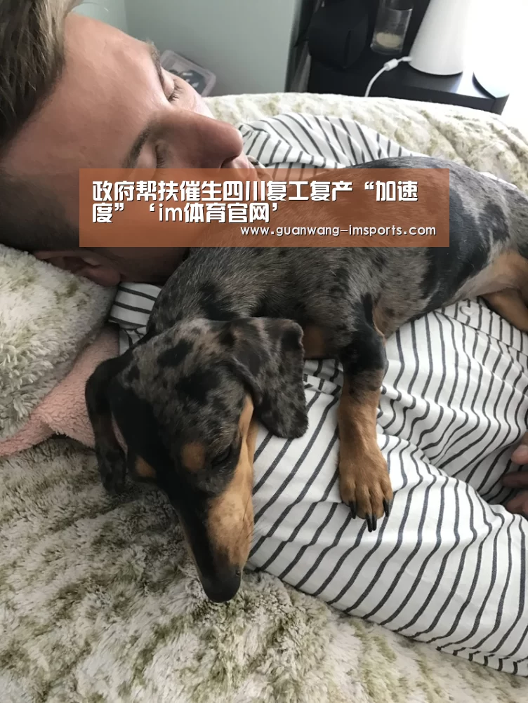 政府帮扶催生四川复工复产“加速度”‘im体育官网’(图1) im娱乐
