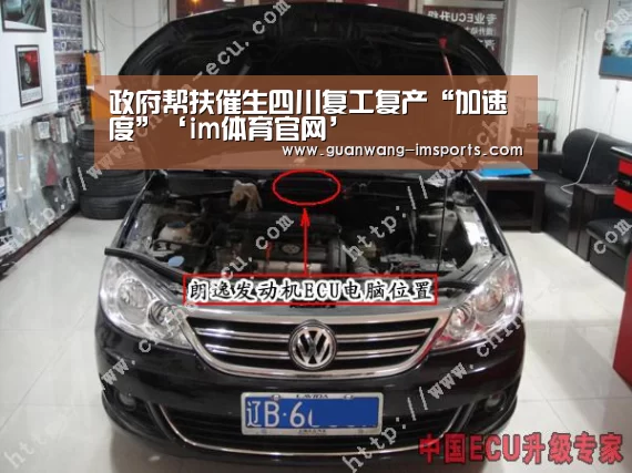 政府帮扶催生四川复工复产“加速度”‘im体育官网’(图4) im娱乐