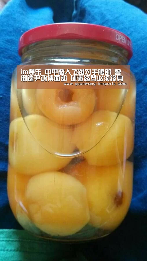im娱乐_中甲恶人飞蹬对手腹部 曾倒踹尹鸿博面部 球迷怒骂必须终身禁赛(图3) im体育下载