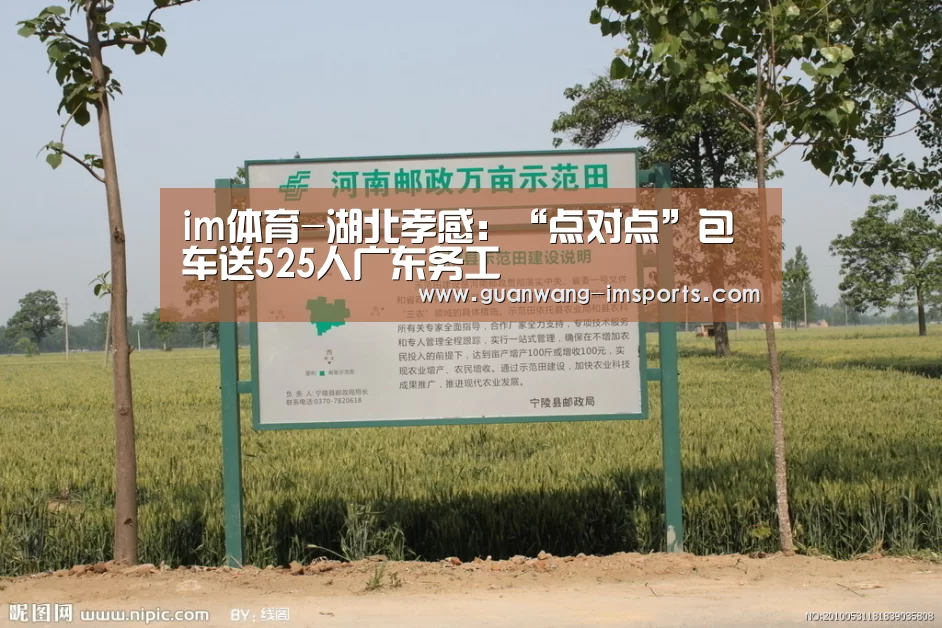 im体育下载
