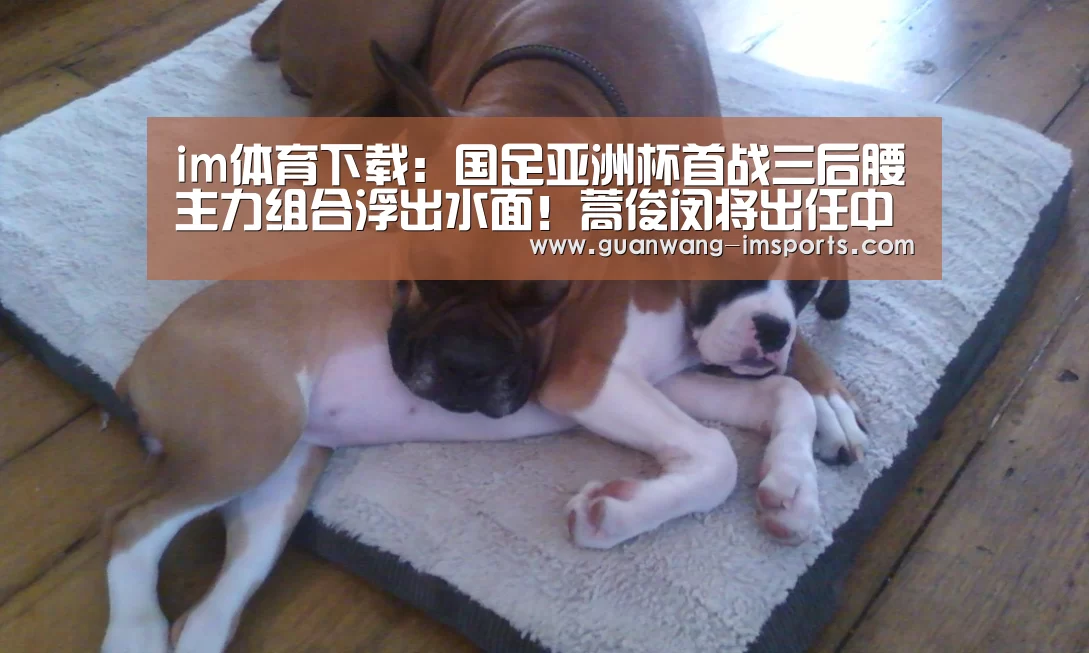 im体育下载:国足亚洲杯首战三后腰主力组合浮出水面!蒿俊闵将出任中场核心(图1) im体育官网
