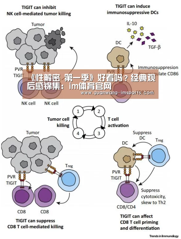 《性解密 第一季》好看吗?经典观后感锦集:im体育官网(图4) im体育