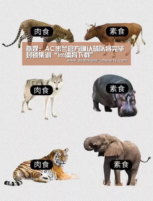 意媒:AC米兰官方确认球队将完毕封锁集训“im体育下载”(图1) im体育官网