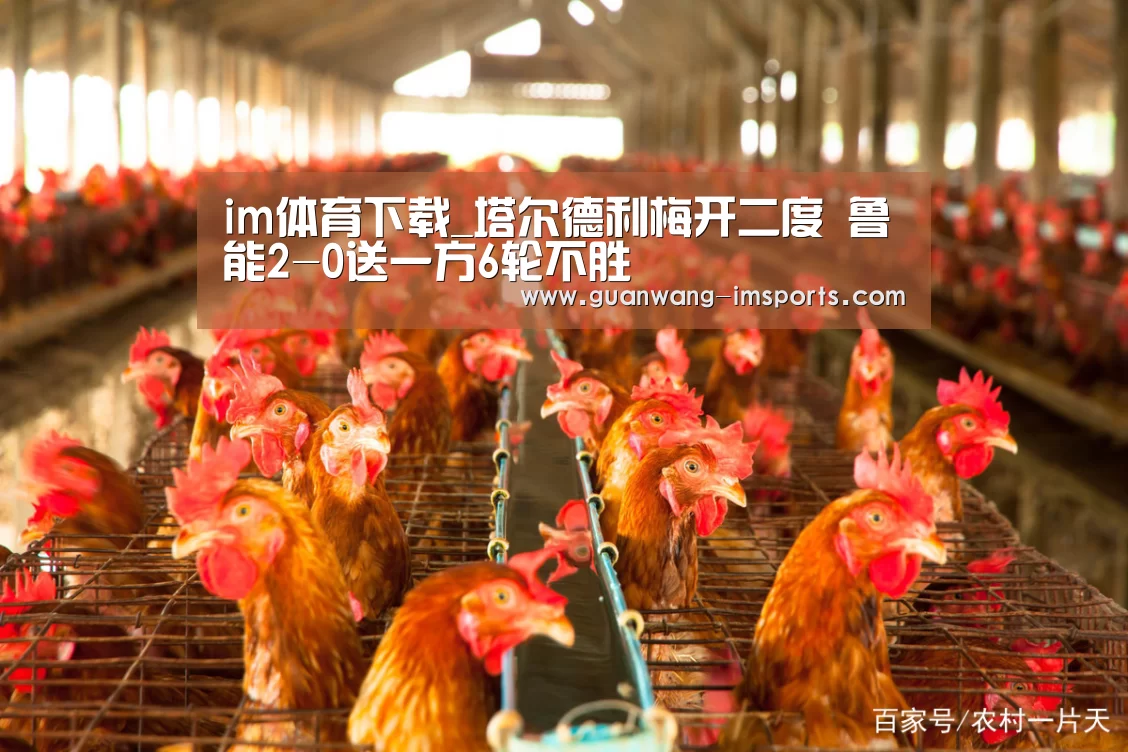 im体育下载_塔尔德利梅开二度 鲁能2-0送一方6轮不胜(图2) im娱乐